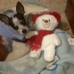 piri con su regalo de navidad su bolo =)